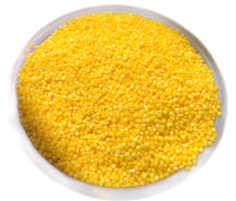 赤峰圓棗子苗廠家電話號(hào)碼-第1張圖片