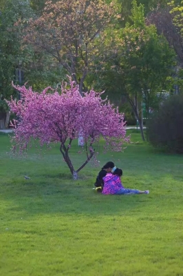 赤峰百柳冠東店地址電話查詢-第1張圖片