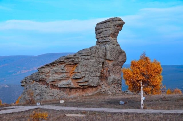 赤峰阿旗泰豐物流電話號碼-第1張圖片