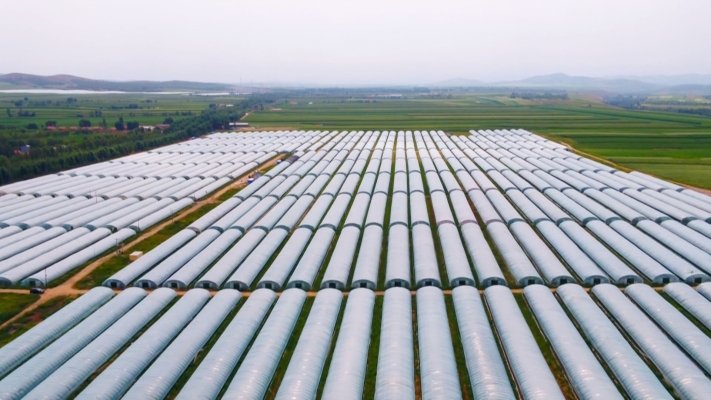 赤峰市紅糧基地地址電話號碼-第1張圖片