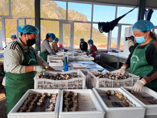 赤峰速凍品經(jīng)銷(xiāo)商電話地址查詢-第1張圖片