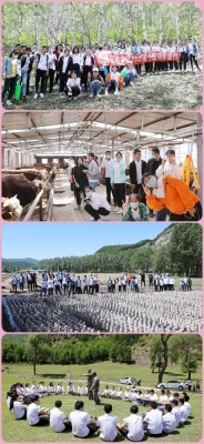 赤峰澤佳臺(tái)球館電話號(hào)碼多少-第1張圖片