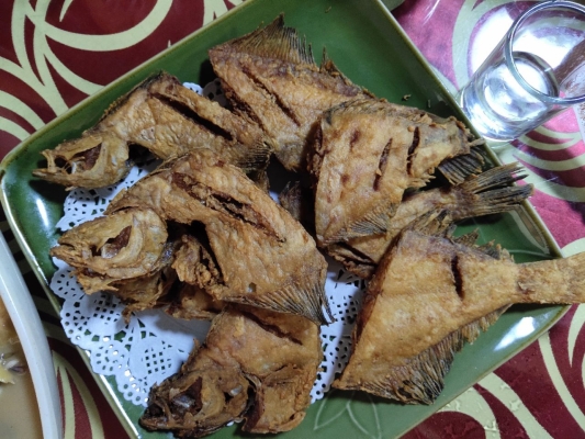 赤峰馨風(fēng)雅居牛骨頭館電話號(hào)碼-第1張圖片