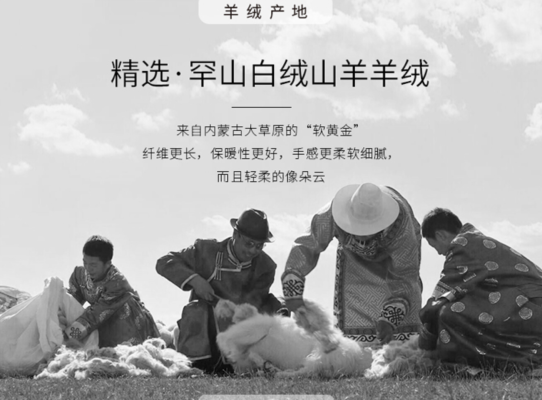 內(nèi)蒙古赤峰羊絨廠家電話號碼-第1張圖片