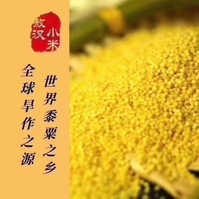 赤峰敖漢奶茶店電話多少號(hào)-第1張圖片