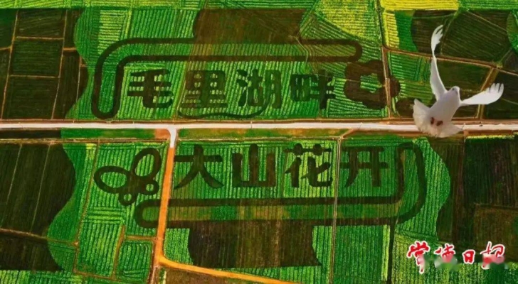 赤峰市桃花花海社區(qū)電話號碼-第1張圖片