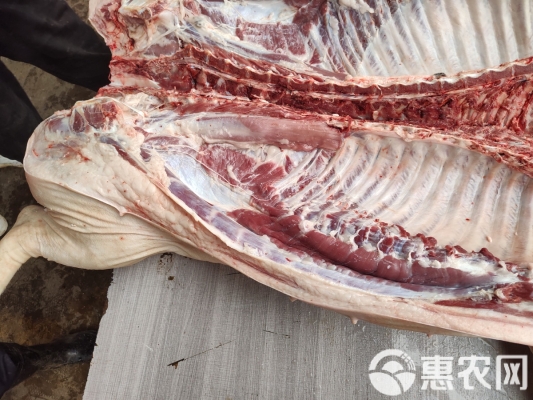 赤峰豬肉批發(fā)商電話號碼查詢-第1張圖片