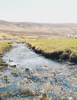 赤峰東蘇牛羊批發(fā)部電話號(hào)碼-第1張圖片