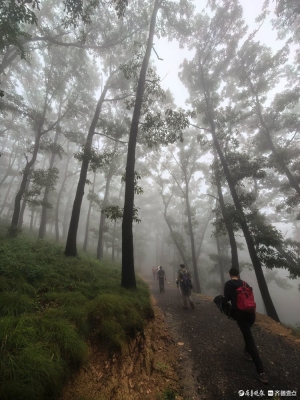 赤峰藥鄉(xiāng)高橋隊(duì)電話號(hào)碼是多少-第1張圖片