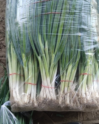 赤峰林西豫菜館電話多少號(hào)-第1張圖片