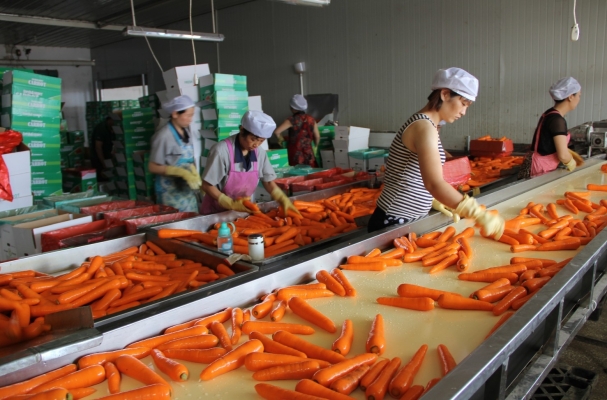 赤峰中唐水渣加工廠電話號碼-第1張圖片