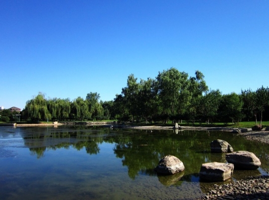 赤峰石波園書店電話號(hào)碼查詢-第1張圖片