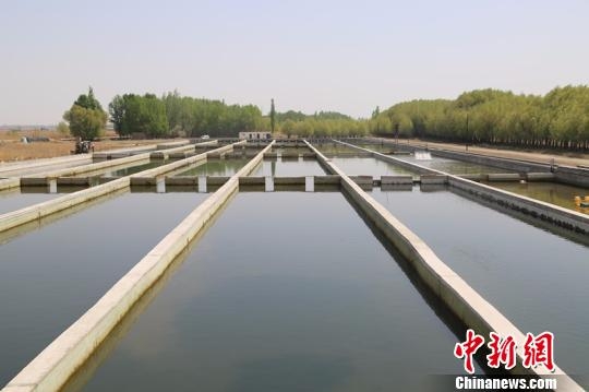 赤峰市魚苗養(yǎng)殖基地電話號碼-第1張圖片