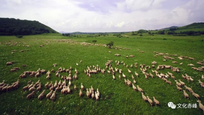 赤峰櫻桃園采摘基地電話號(hào)碼-第1張圖片