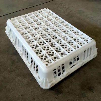 赤峰收購螞蝗廠家電話是多少號-第1張圖片