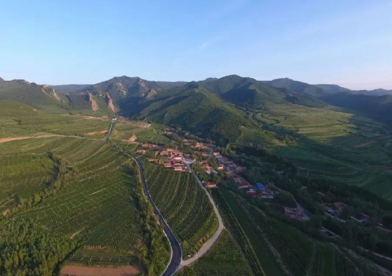 金山到赤峰的小車電話多少號(hào)-第1張圖片