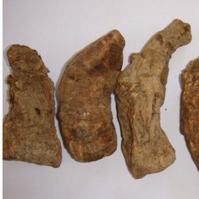 赤峰錦山鎮(zhèn)中藥店電話(huà)號(hào)碼-第1張圖片