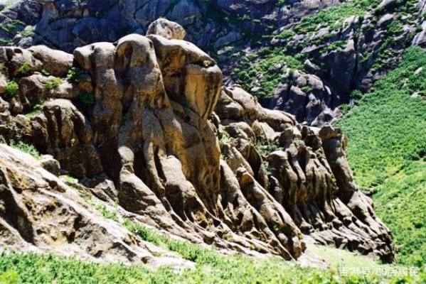 赤峰動物火葬場電話號碼查詢-第1張圖片