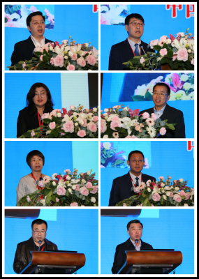 赤峰市紅山部隊(duì)醫(yī)院電話號(hào)碼-第1張圖片