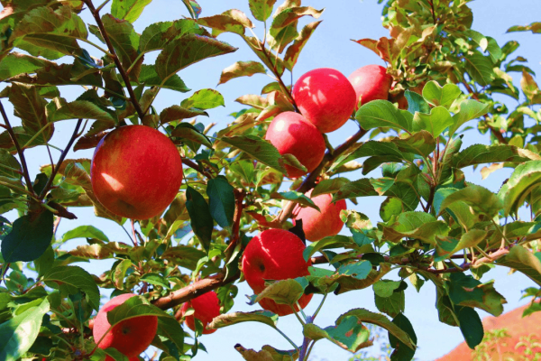 赤峰寧城縣莎莎舞廳電話號(hào)碼-第1張圖片