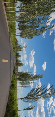 赤峰雅迪松山區(qū)售后電話號碼-第1張圖片