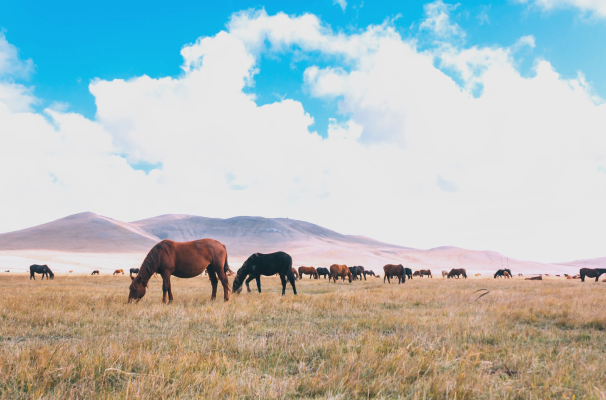 赤峰大地益居門店電話-第1張圖片