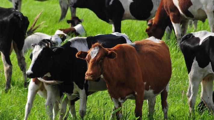 赤峰尊邁汽車服務(wù)中心電話號(hào)碼-第1張圖片