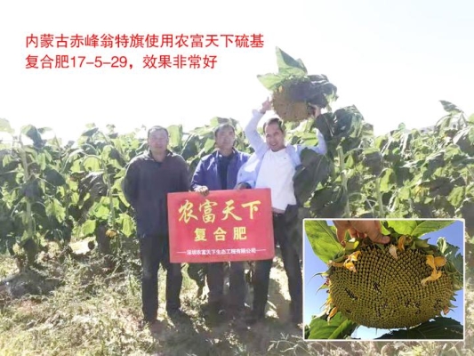 赤峰種子化肥行業(yè)協(xié)會電話號碼-第1張圖片