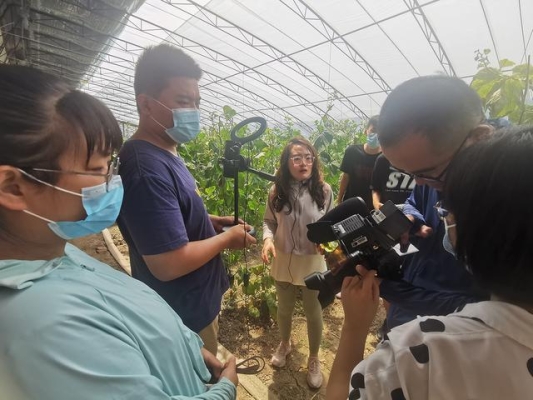 赤峰市大棗采摘電話是多少號-第1張圖片