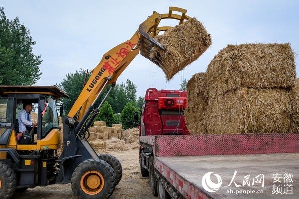赤峰稻草糧倉廠家電話號碼查詢-第1張圖片