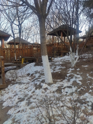 赤峰平莊羊頭店電話號碼多少-第1張圖片