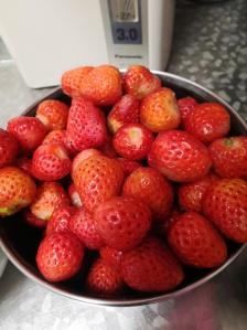 赤峰新城高端水果店電話號碼-第1張圖片