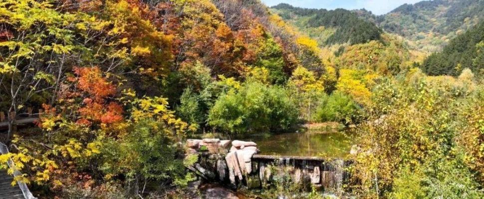 赤峰紅羽羽毛球館電話號碼-第1張圖片