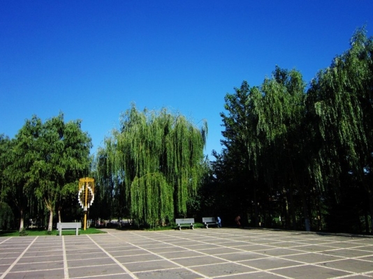 赤峰新城區(qū)靜云街道電話號碼-第1張圖片