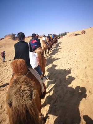 赤峰赤朝物流電話號碼查詢-第1張圖片