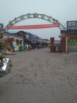 赤峰天使魚批發(fā)市場電話號碼-第1張圖片