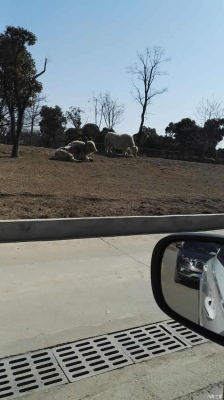 赤峰小靜姐動(dòng)物園電話號(hào)碼-第1張圖片