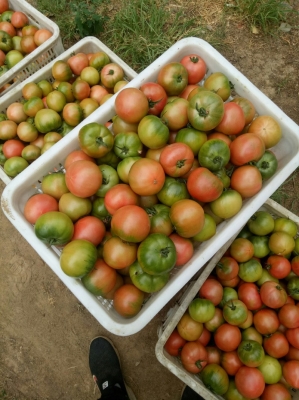 赤峰市水果代賣電話地址查詢-第1張圖片