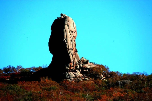 赤峰市奇森臺球館電話號碼-第1張圖片