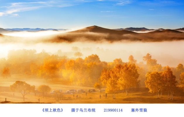 內(nèi)蒙古赤峰部隊(duì)官網(wǎng)電話號(hào)碼-第1張圖片