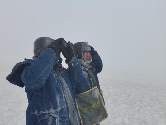 內(nèi)蒙赤峰國(guó)網(wǎng)客服電話是多少號(hào)-第1張圖片