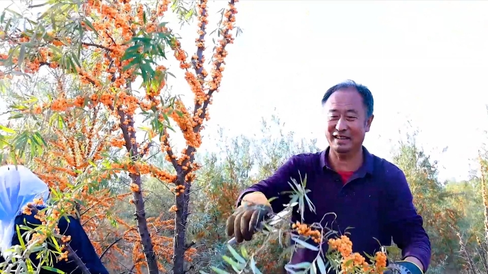 赤峰沙漠之花旗艦店電話號(hào)碼-第1張圖片