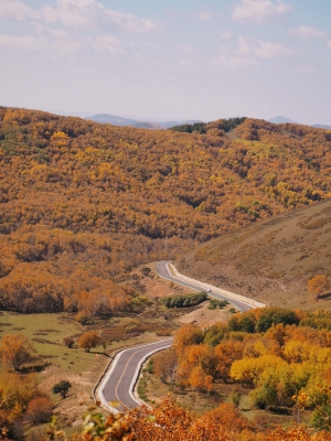 赤峰阿剛美發(fā)電話多少號-第1張圖片