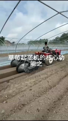 赤峰大蔥起壟機(jī)廠家電話號(hào)碼-第1張圖片