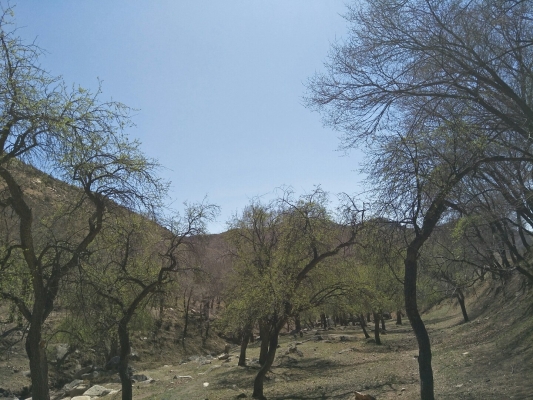 赤峰永星制衣廠地址電話號碼-第1張圖片