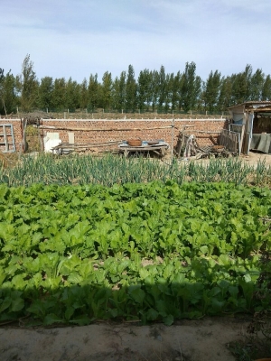 赤峰下洼鎮(zhèn)政府電話號(hào)碼是多少-第1張圖片