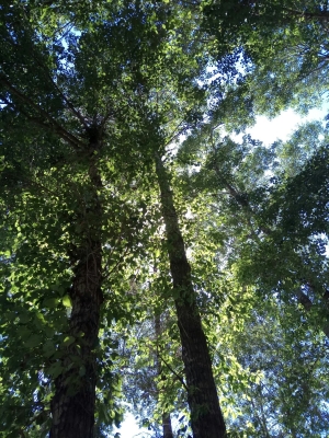 錦山到赤峰黑車電話號碼是多少-第1張圖片