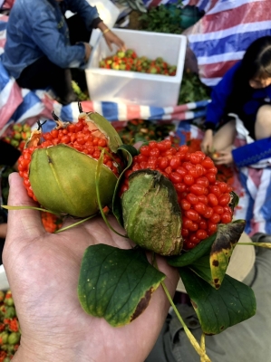 赤峰豆渣廠家批發(fā)電話號碼多少-第1張圖片