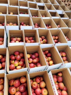 赤峰寧城日化品廠電話多少號-第1張圖片