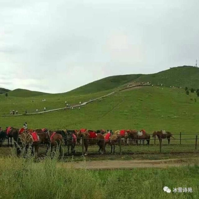 赤峰雙雅社區(qū)電話多少號(hào)碼-第1張圖片
